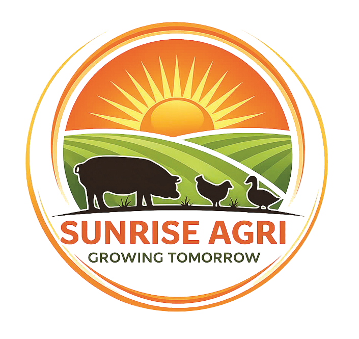 heogiongsunrise.com.vn